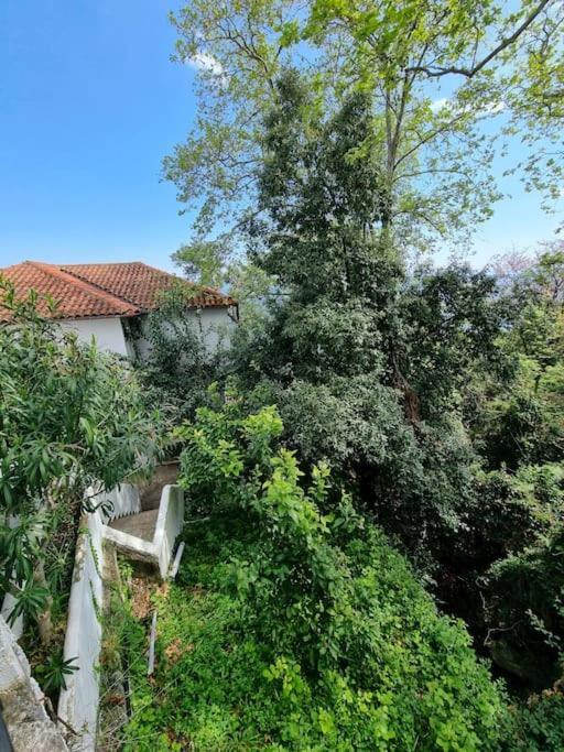 Kapsala'S Family Home Άγιος Ιωάννης Εξωτερικό φωτογραφία